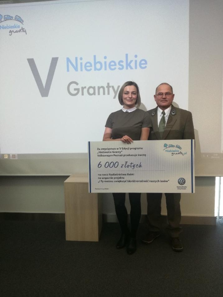 niebieski&#x20;grant