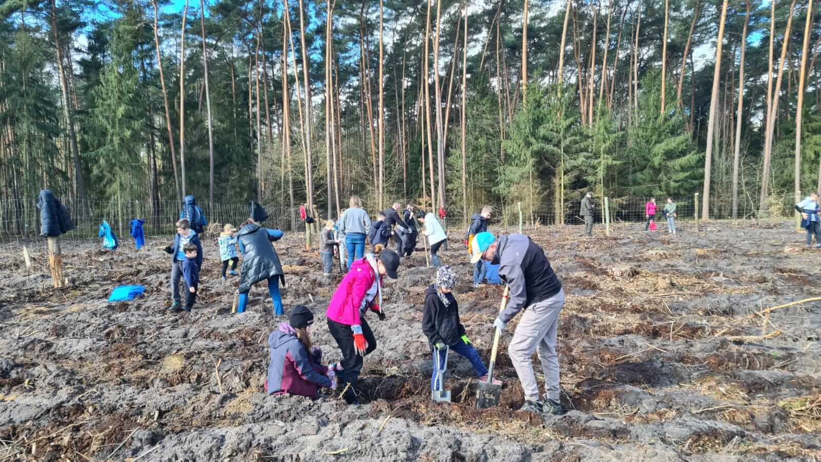 Zdjęcie przedstawia uczniów szkoły w Kamionkach wraz z rodzicami sadzących las. Fot. I. Niemiec