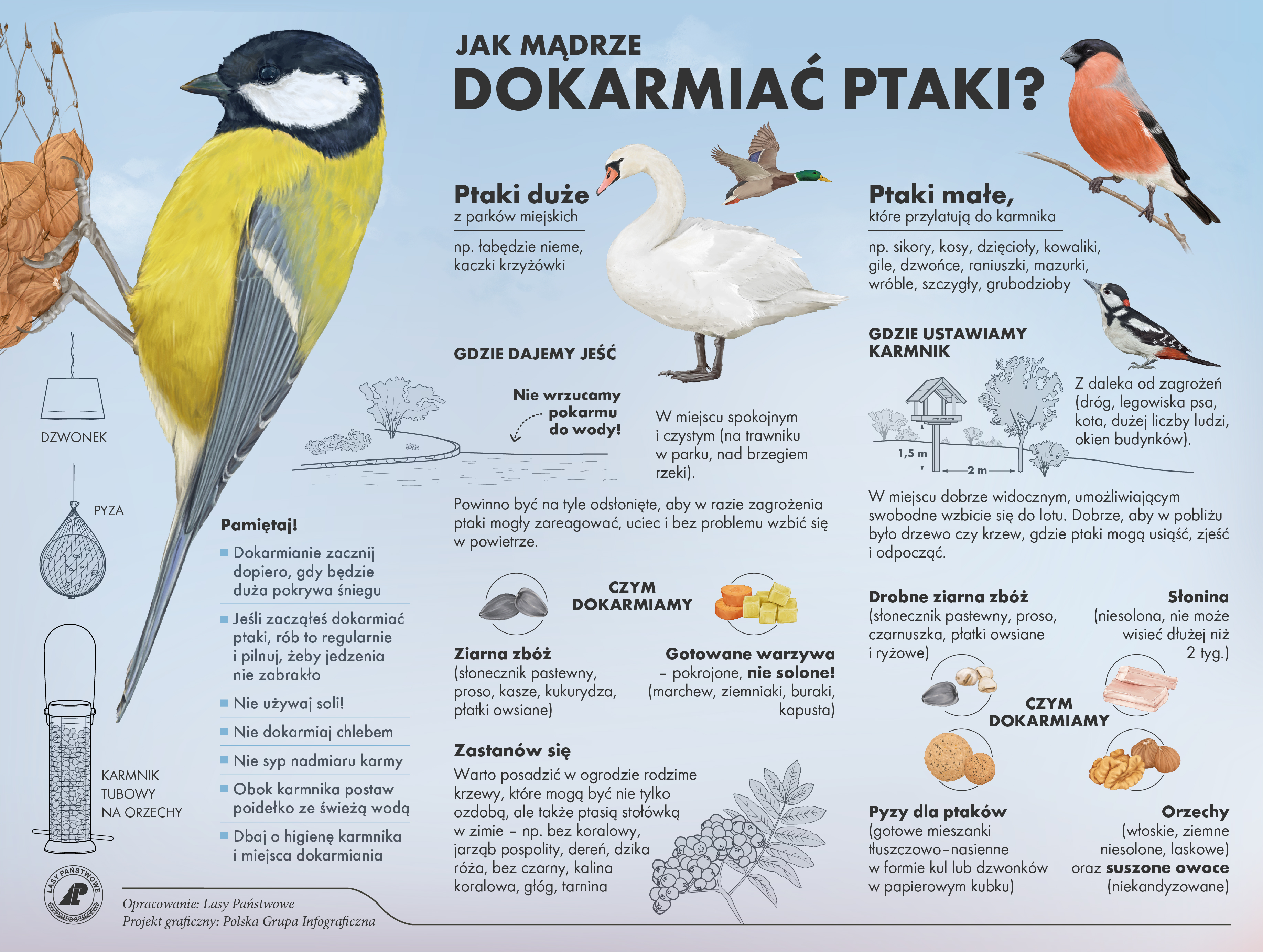 Zdjęcie przedstawia infografikę dotyczącą wskazówek na temat dokarmiania ptaków. 