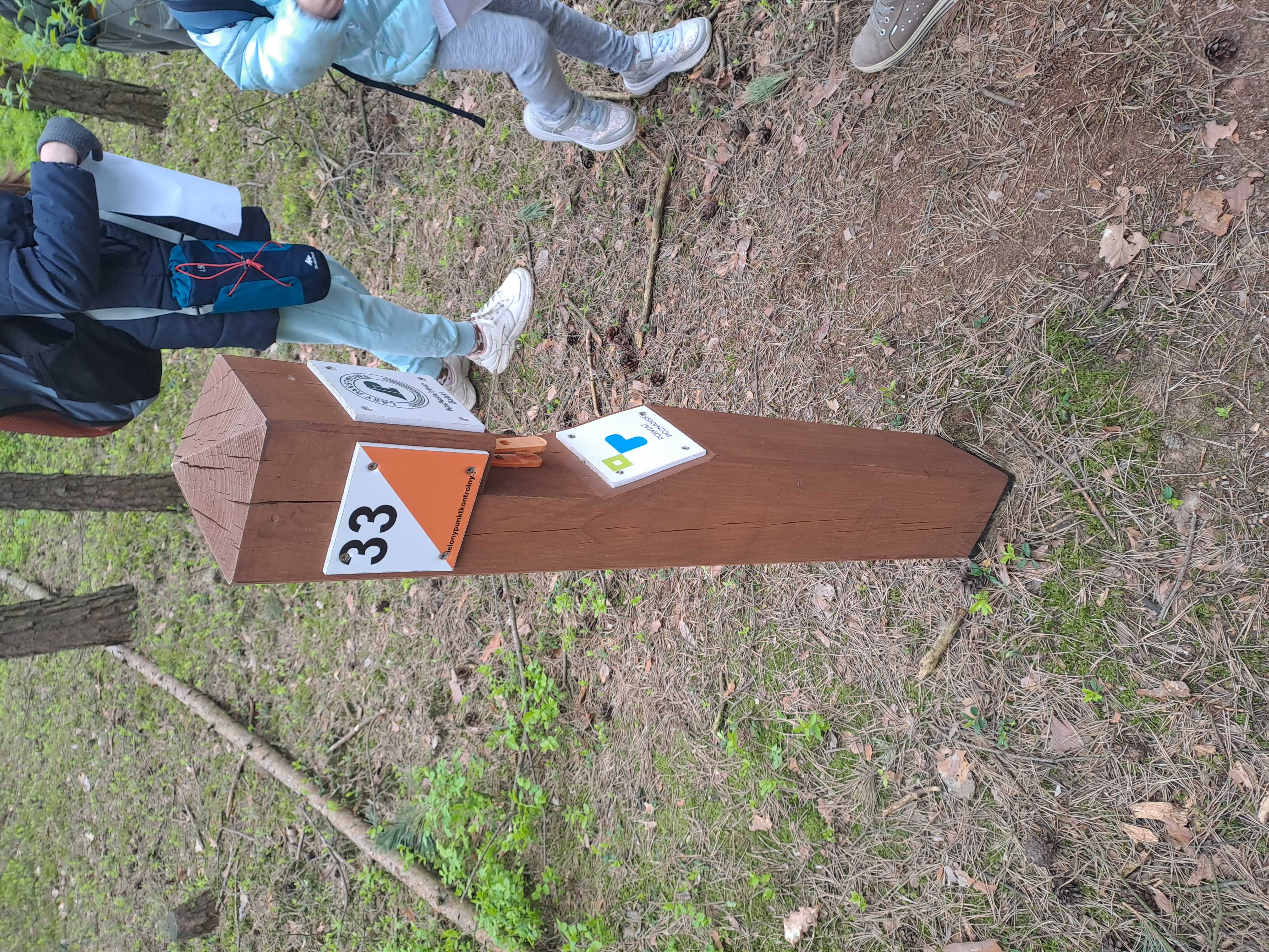 Zdjęcie przedstawia Zielony Punkt Kontrolny - drewniany słupek z indywidualnym numerem i perforatorem. Fot. archiwum Nadleśnictwa Babki