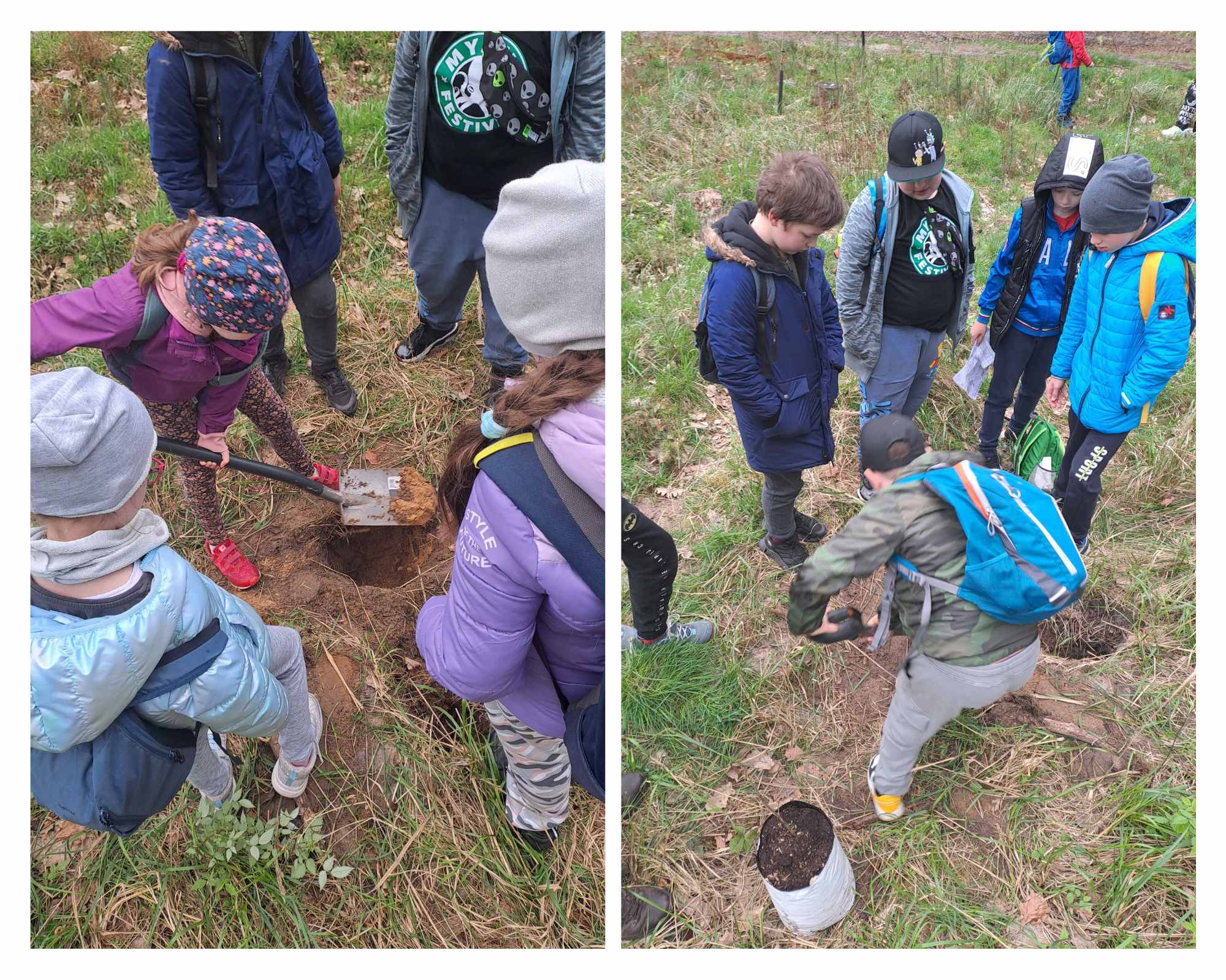 Kolaż dwóch zdjęć przedstawia dzieci, które kopią dołek, żeby posadzić klasowe drzewko. Fot. Archiwum Nadleśnictwa Babki