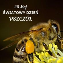 20 maja - Światowy Dzień Pszczół