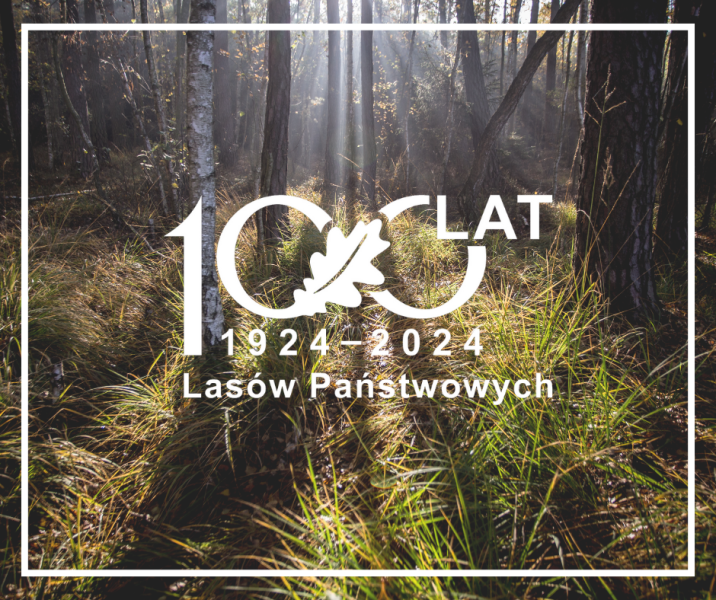 Grafika&#x20;przedstawia&#x20;zdjęcie&#x20;lasu&#x20;z&#x20;logotypem&#x20;100-lecia&#x20;Lasów&#x20;Państwowych&#x2e;&#x20;Fot&#x2e;&#x20;A&#x2e;&#x20;Ożarowska